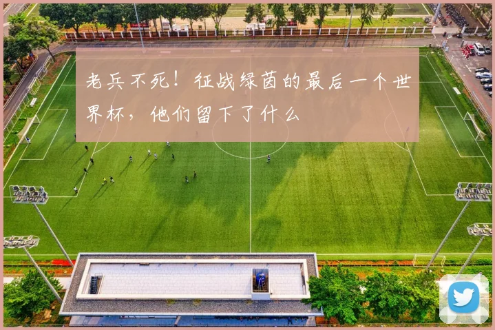 老兵不死！征战绿茵的最后一个世界杯，他们留下了什么